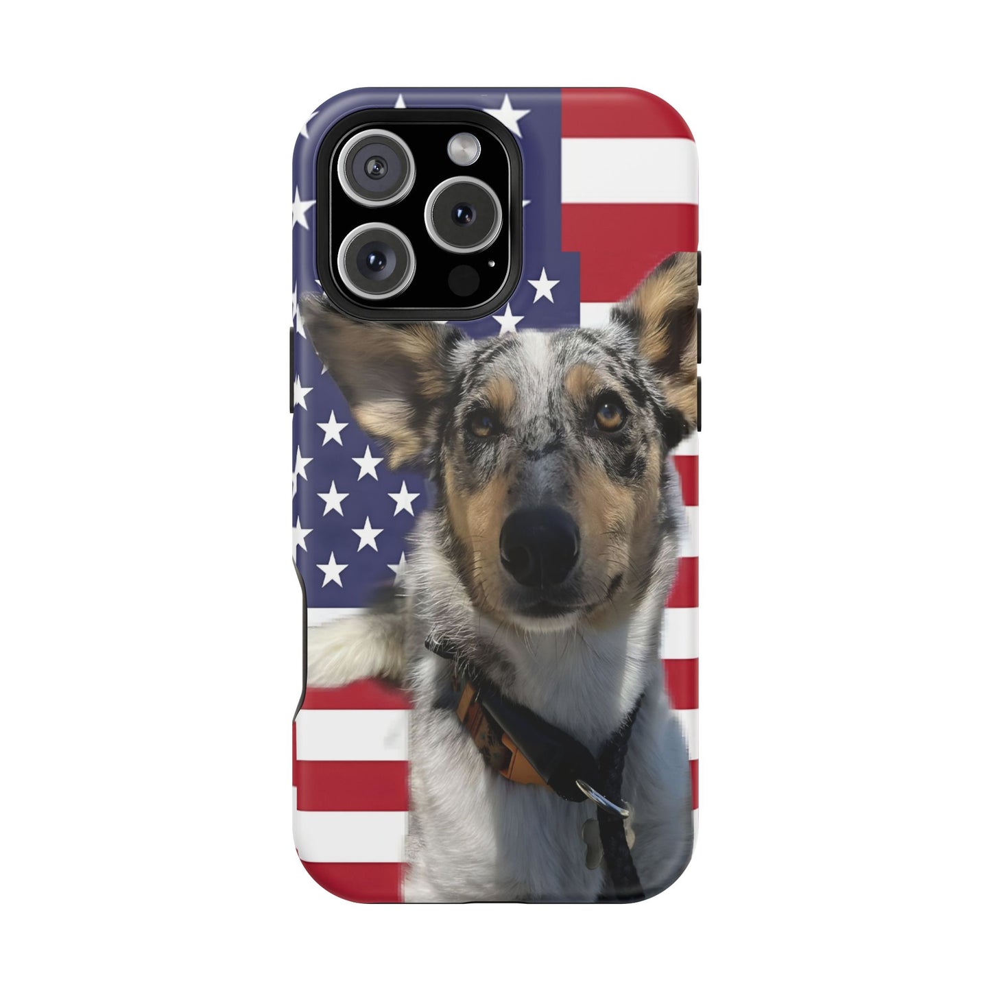 Bandit In America Impact-Resistant Cases