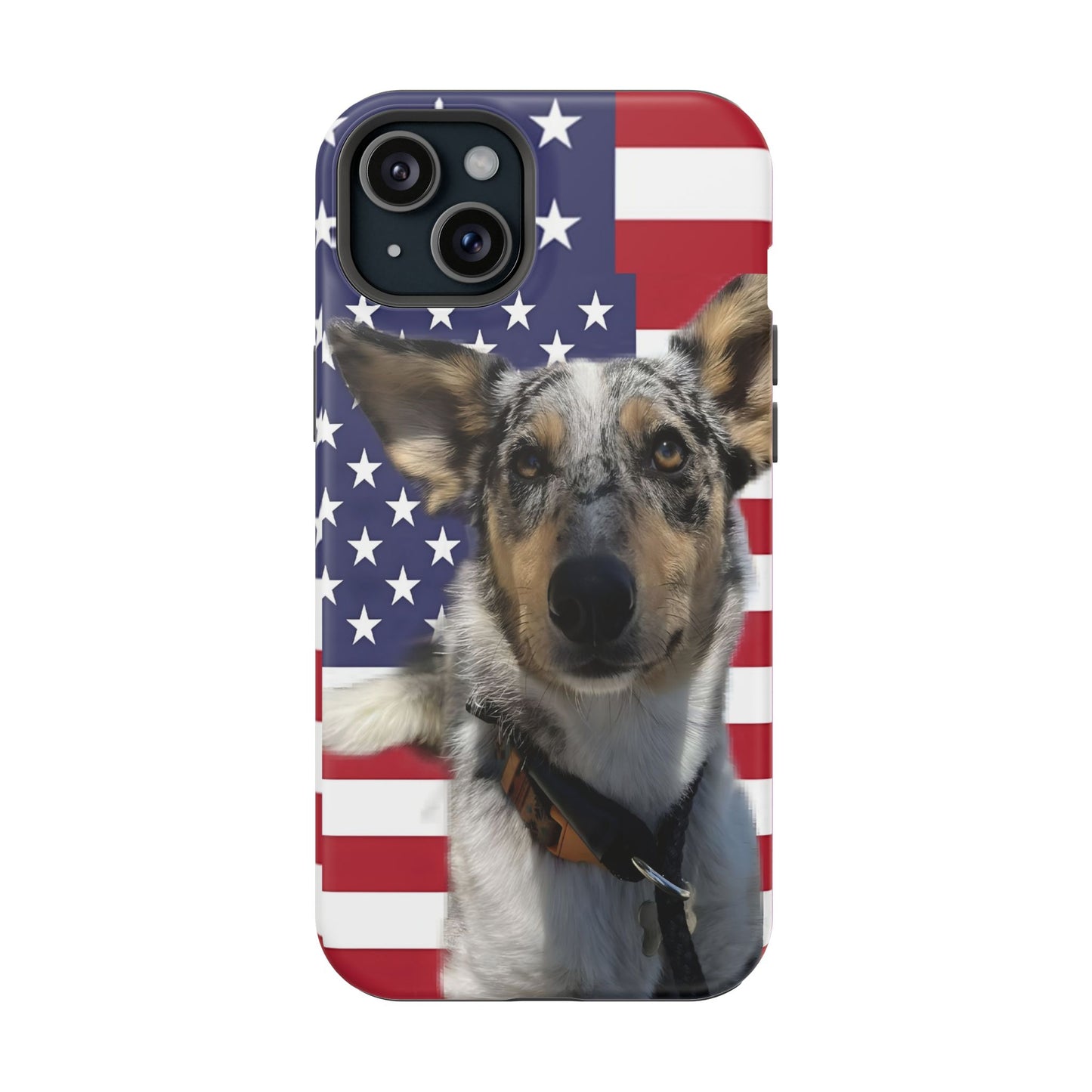 Bandit In America Impact-Resistant Cases