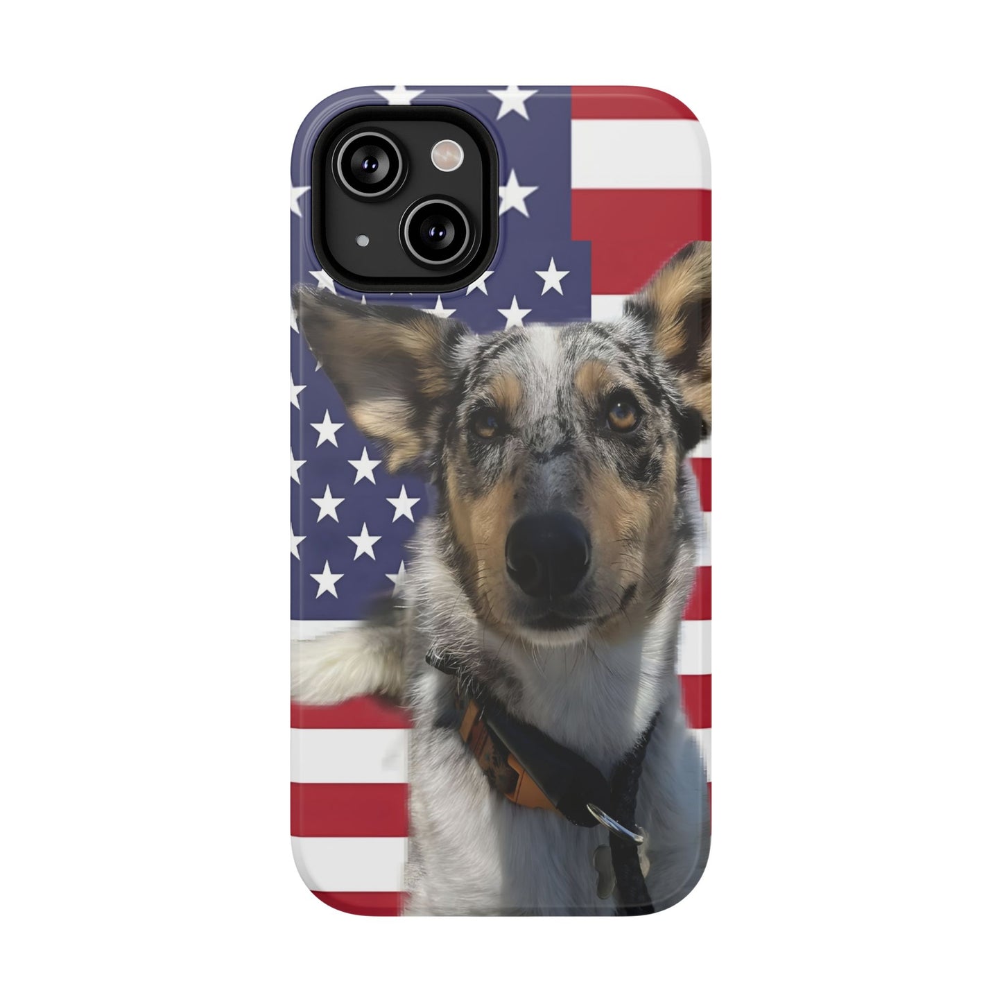 Bandit In America Impact-Resistant Cases
