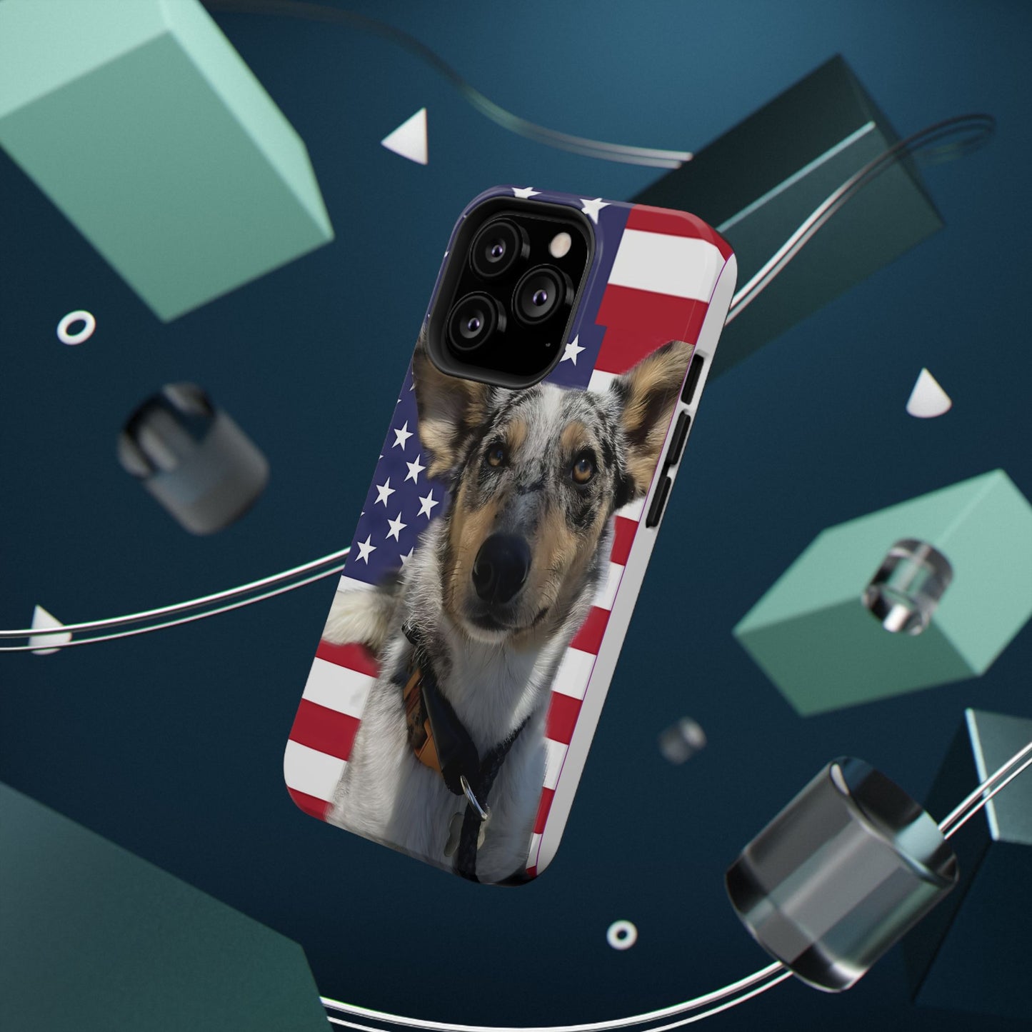 Bandit In America Impact-Resistant Cases