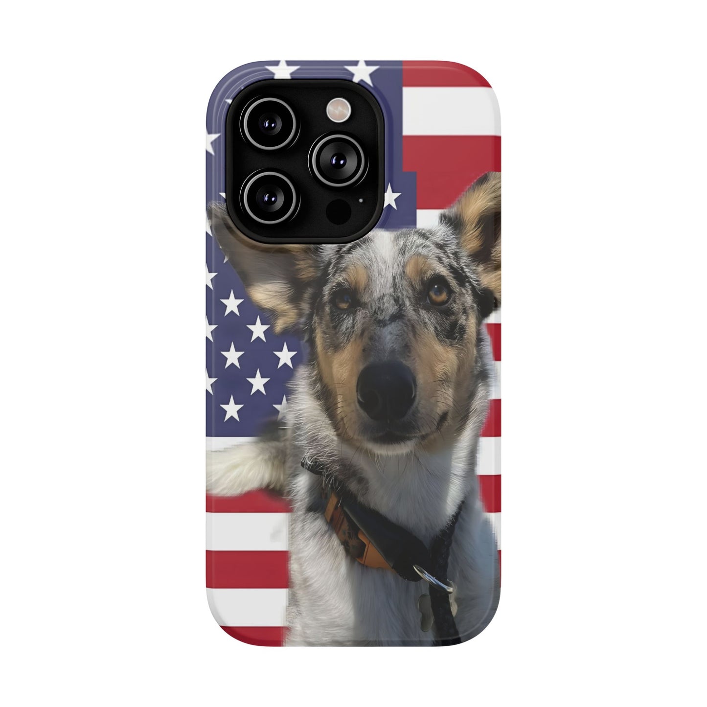 Bandit In America Impact-Resistant Cases