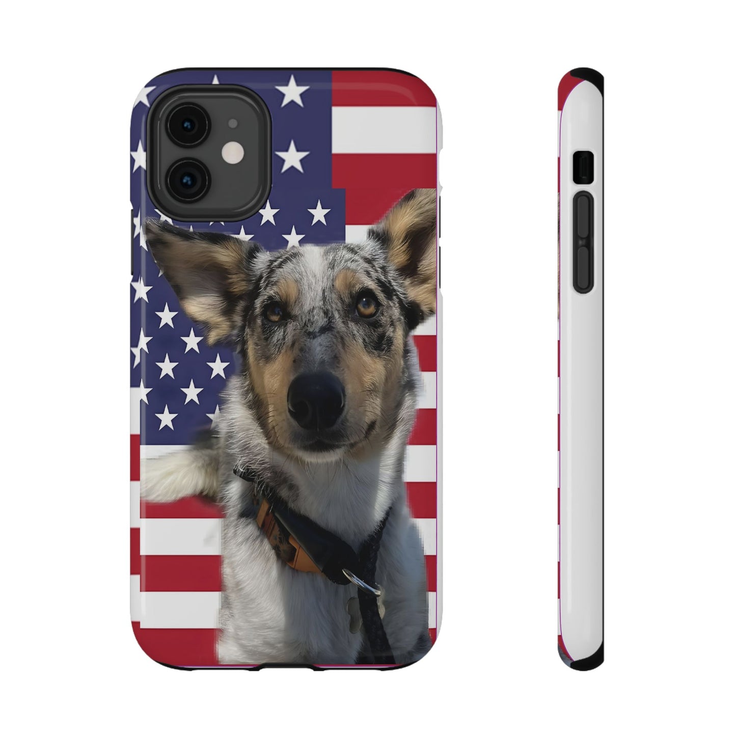 Bandit In America Impact-Resistant Cases