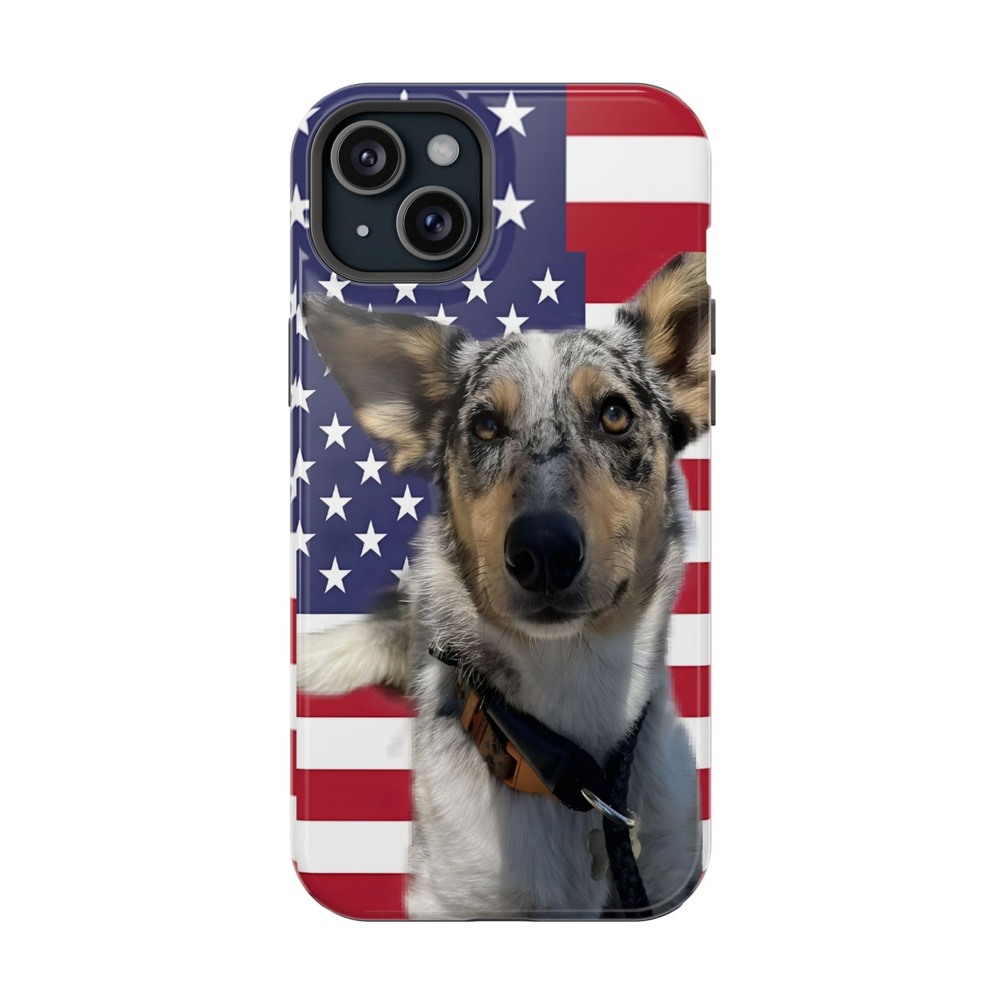 Bandit In America Impact-Resistant Cases