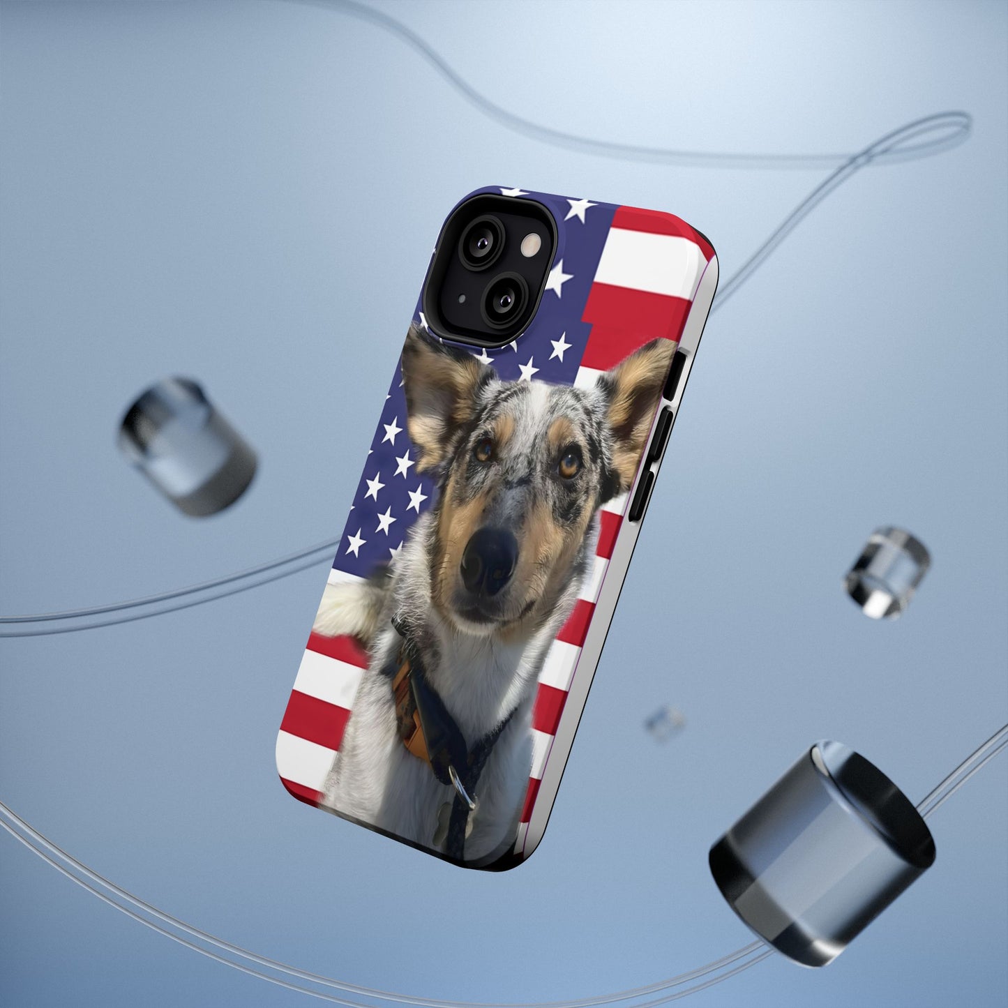 Bandit In America Impact-Resistant Cases