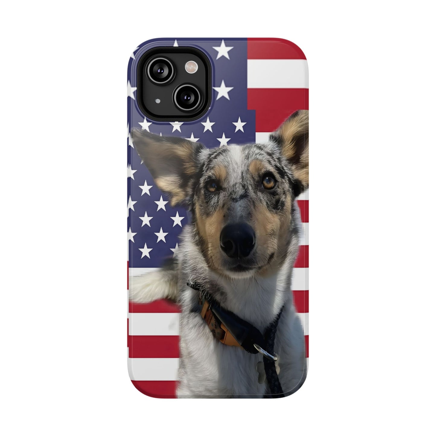 Bandit In America Impact-Resistant Cases
