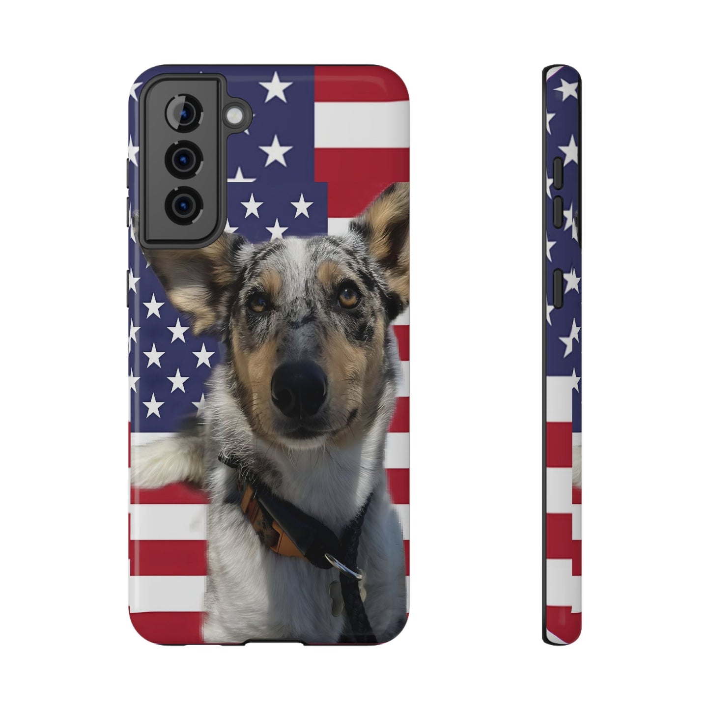 Bandit In America Impact-Resistant Cases