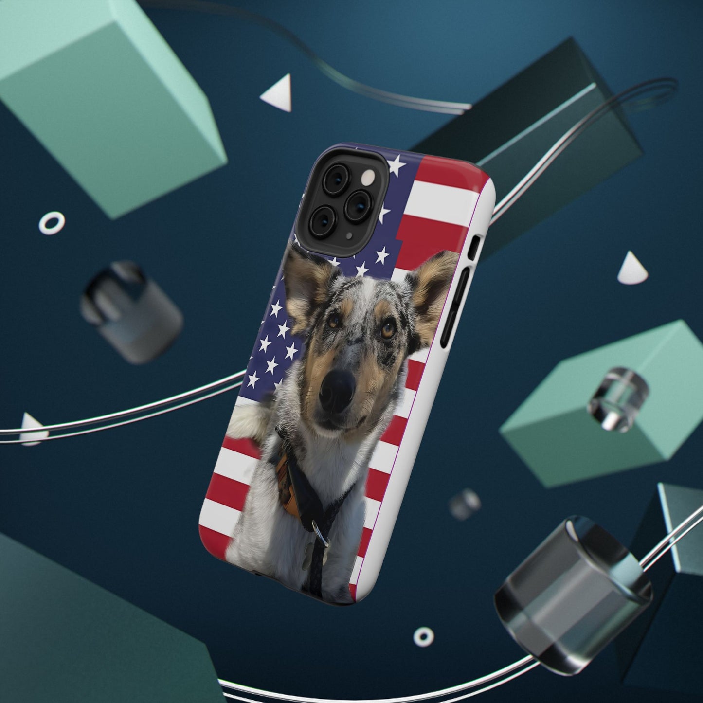 Bandit In America Impact-Resistant Cases