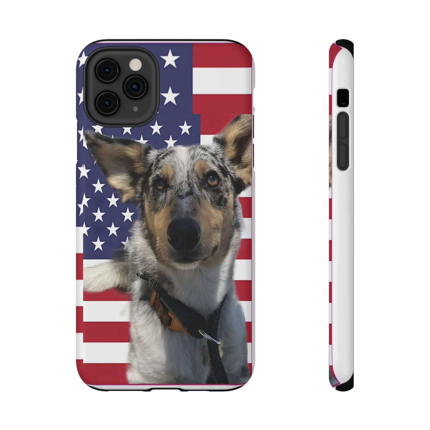 Bandit In America Impact-Resistant Cases