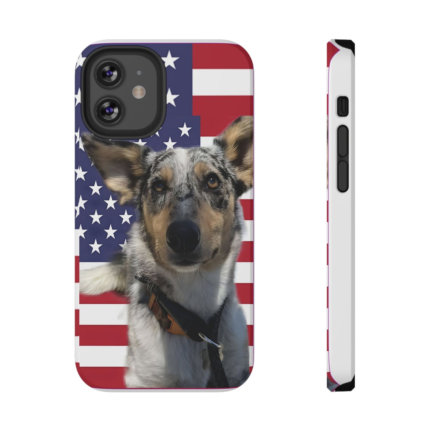 Bandit In America Impact-Resistant Cases