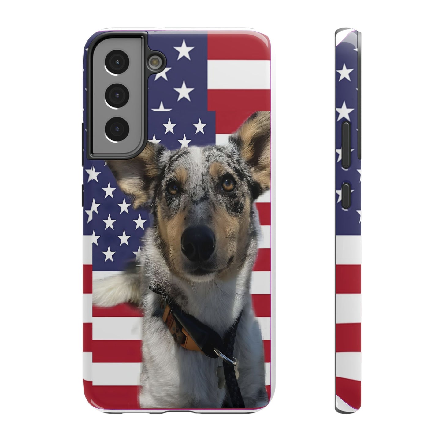 Bandit In America Impact-Resistant Cases