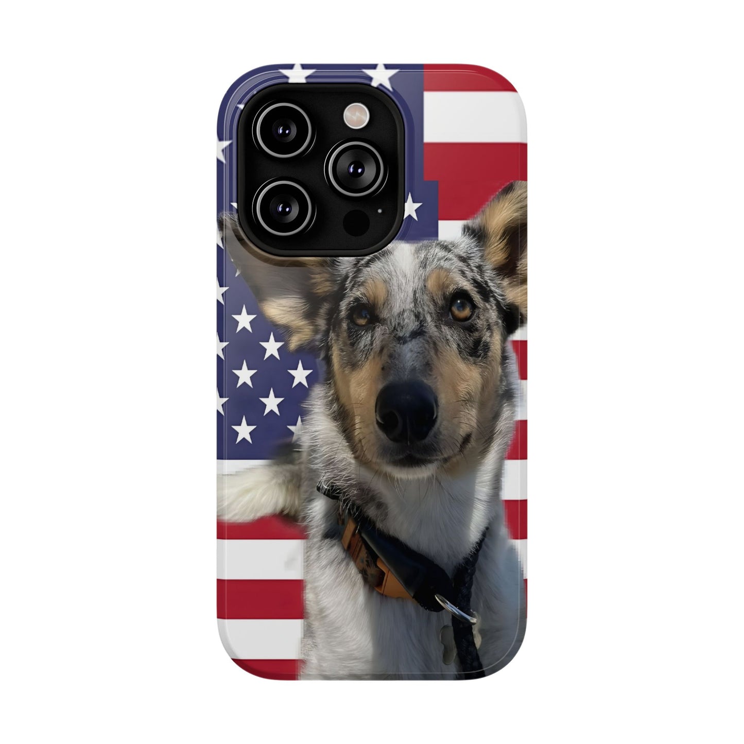 Bandit In America Impact-Resistant Cases