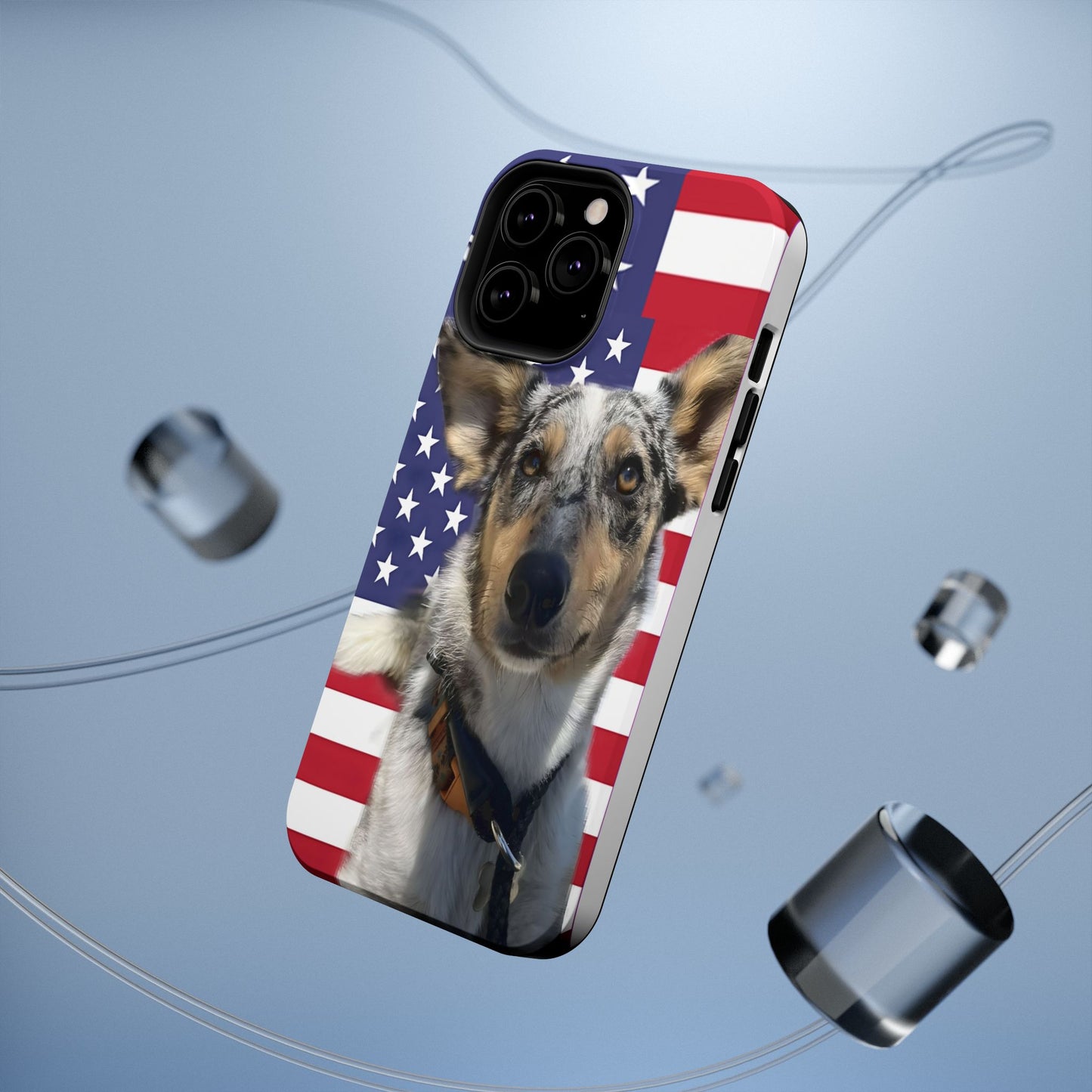 Bandit In America Impact-Resistant Cases