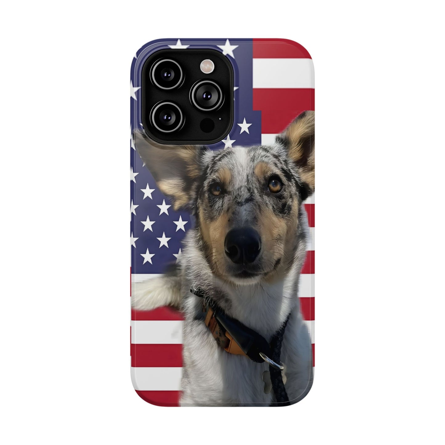 Bandit In America Impact-Resistant Cases