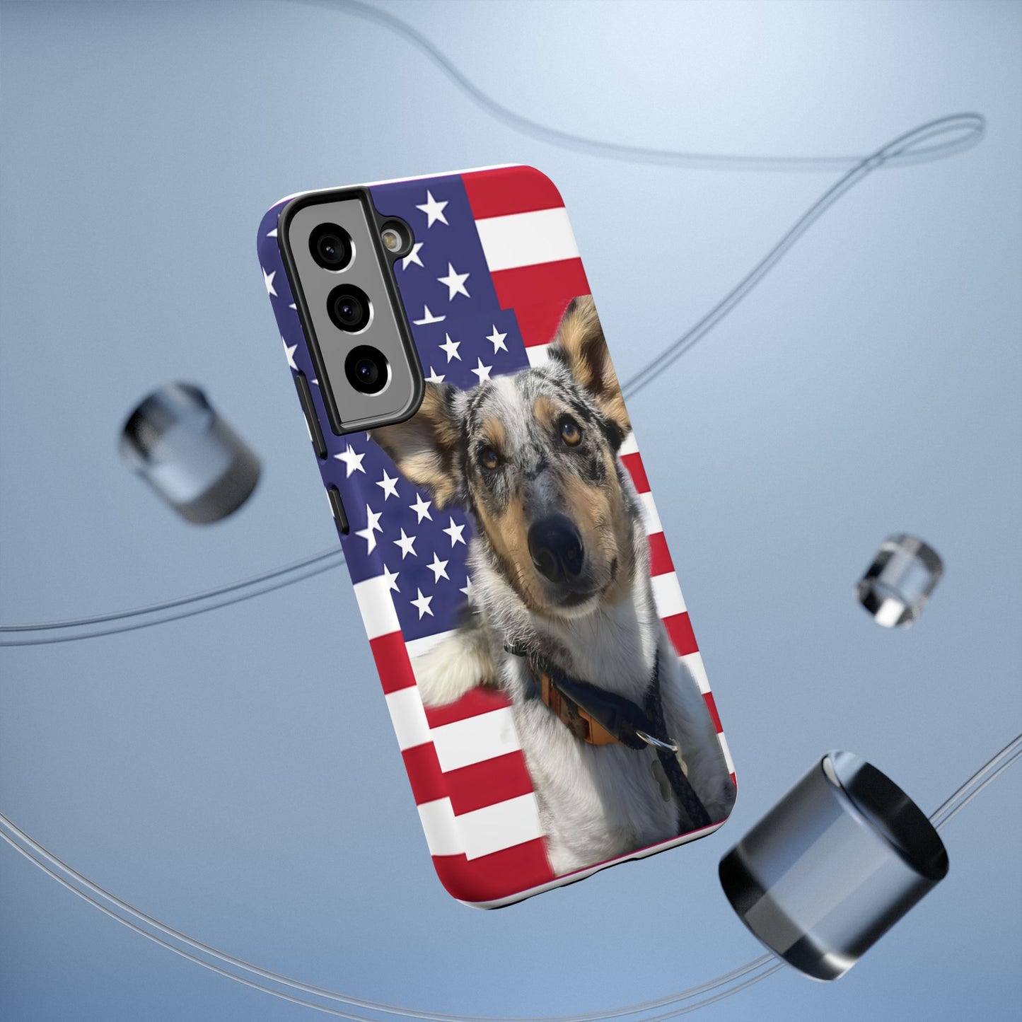 Bandit In America Impact-Resistant Cases