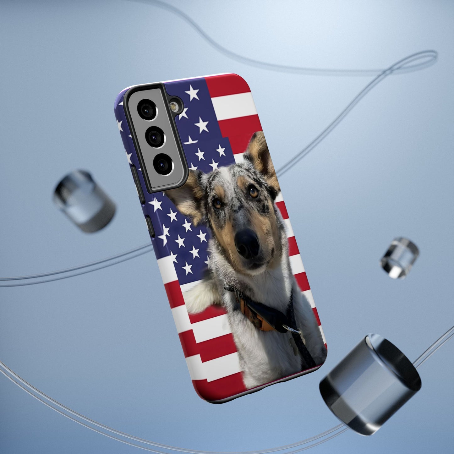Bandit In America Impact-Resistant Cases