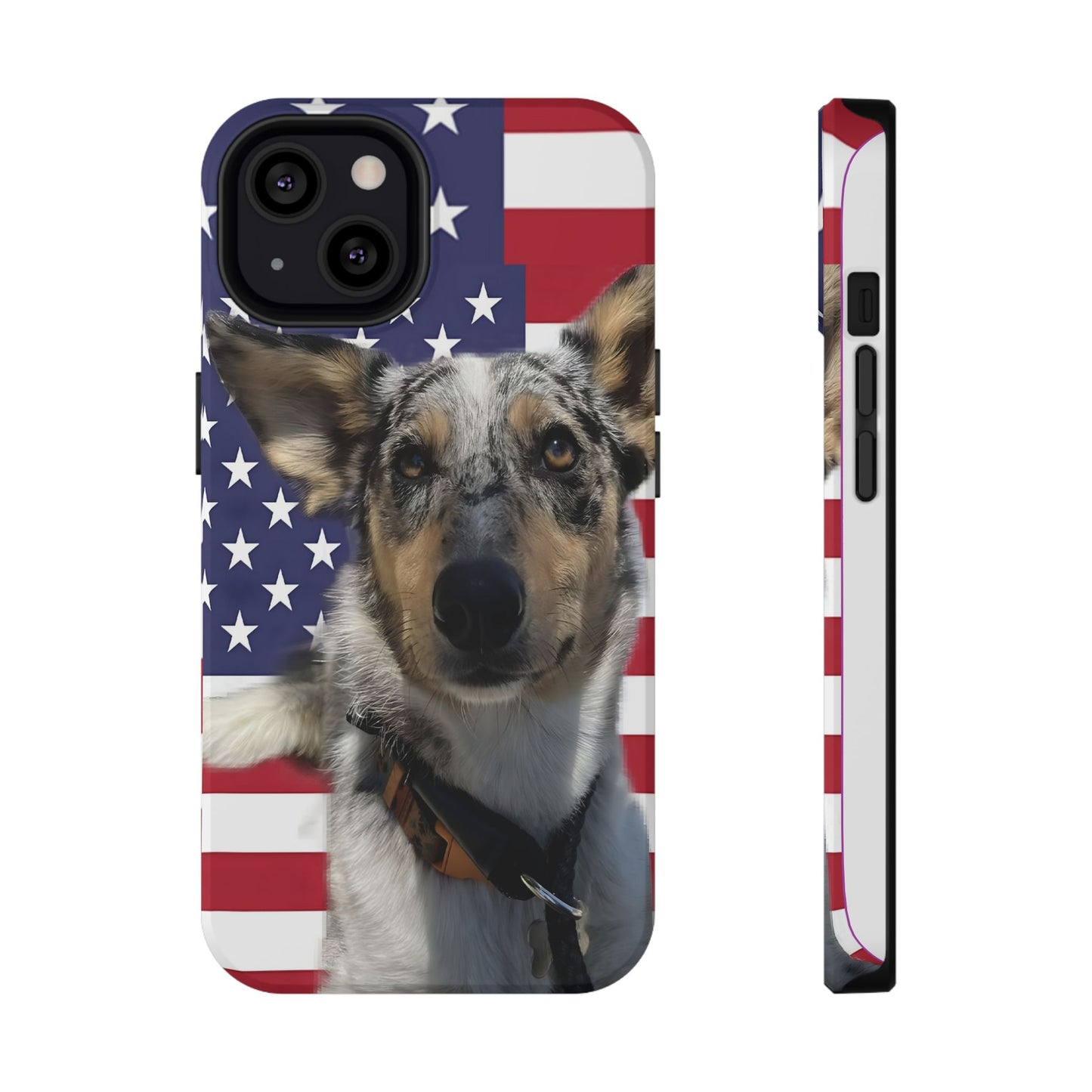 Bandit In America Impact-Resistant Cases