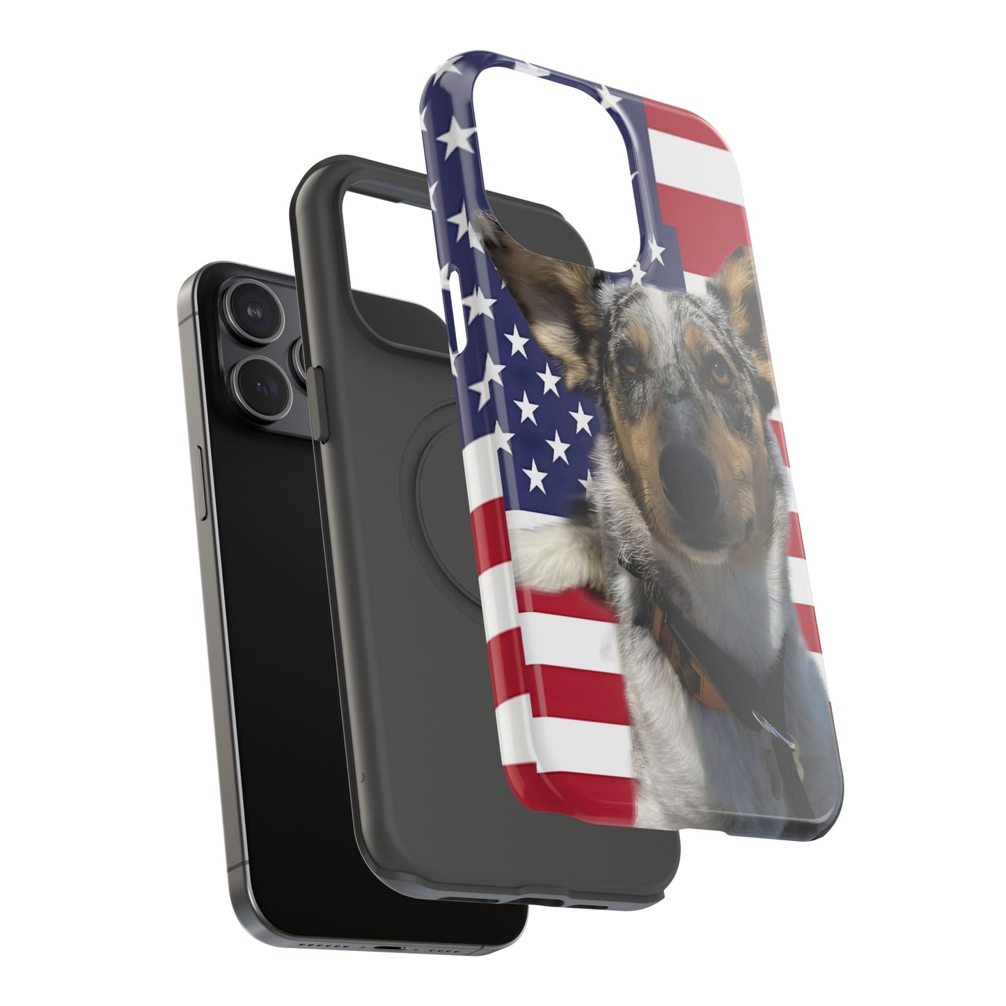 Bandit In America Impact-Resistant Cases