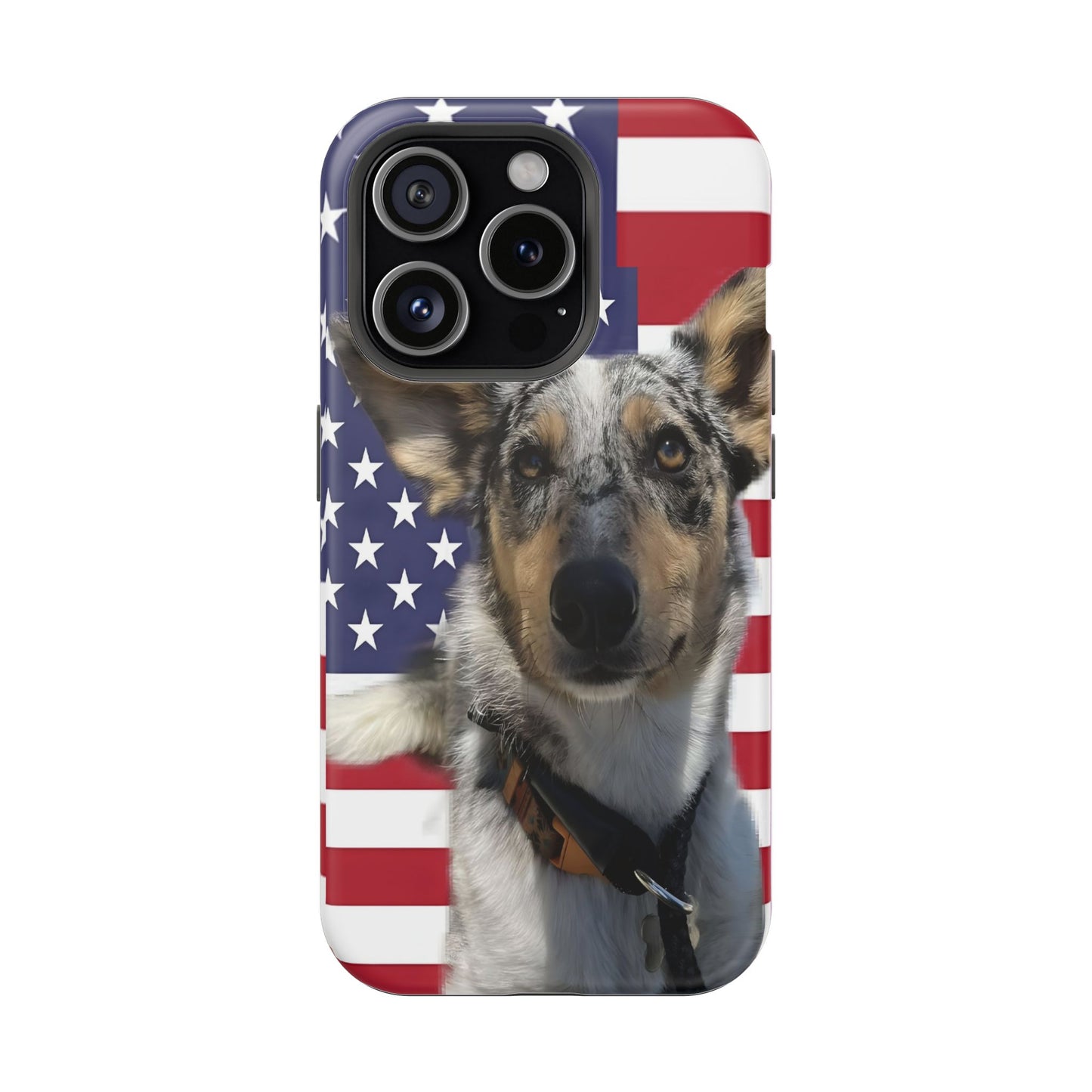 Bandit In America Impact-Resistant Cases