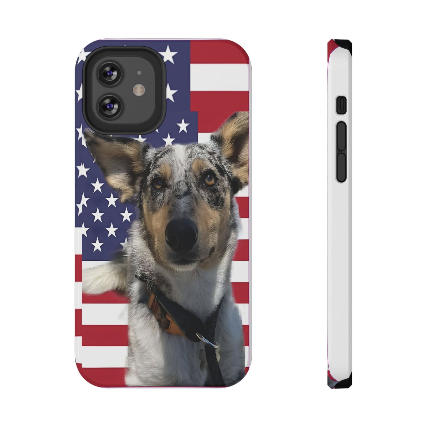 Bandit In America Impact-Resistant Cases