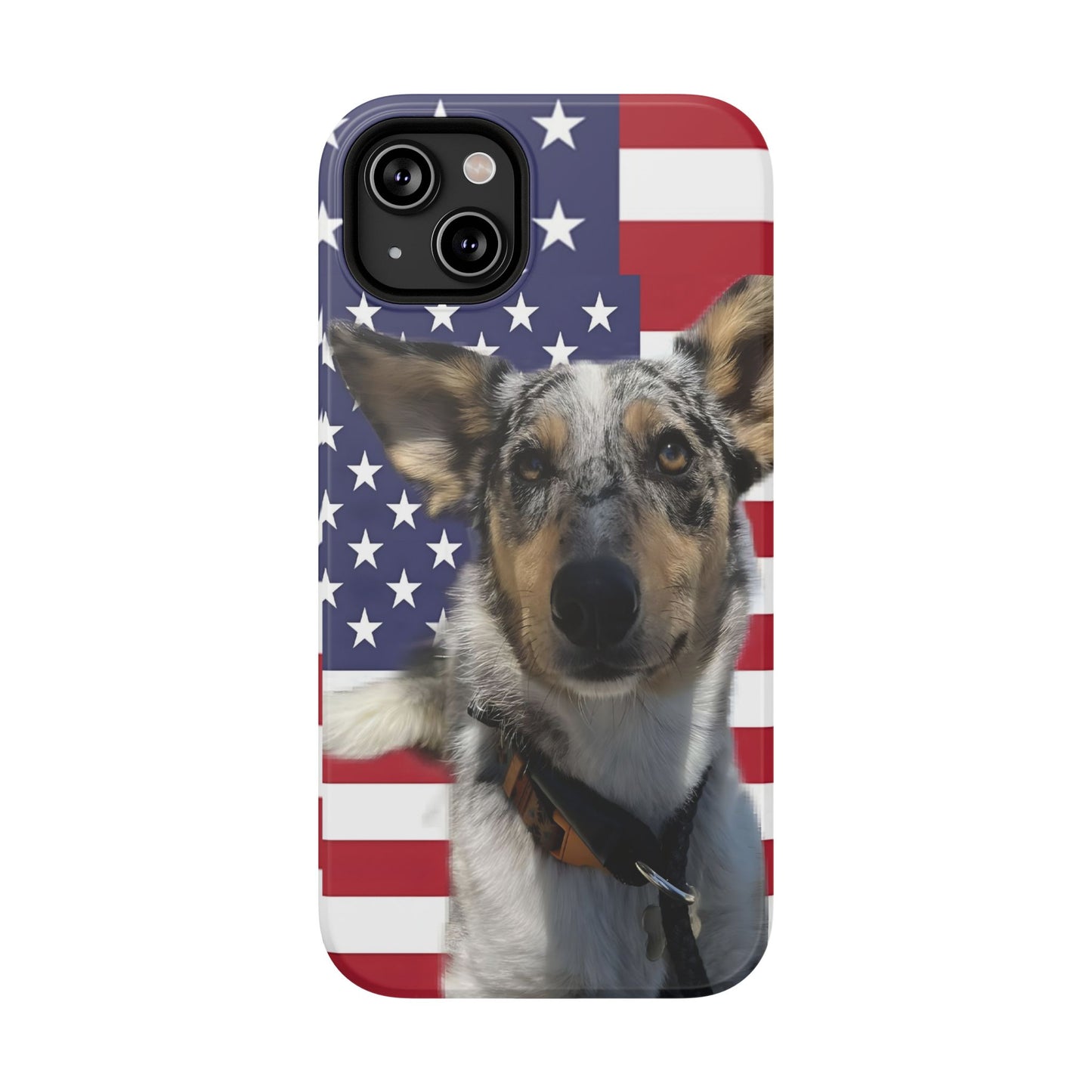Bandit In America Impact-Resistant Cases