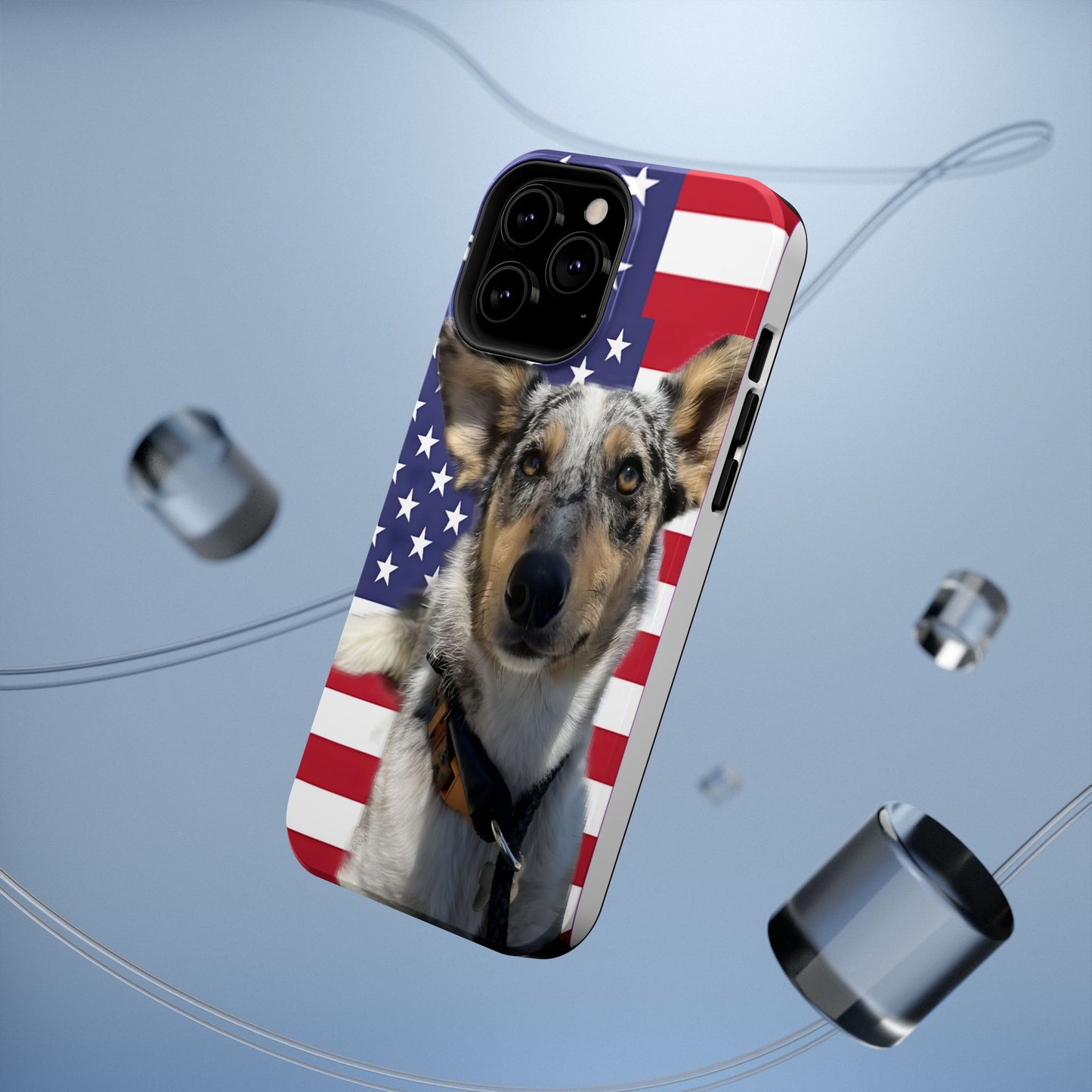 Bandit In America Impact-Resistant Cases