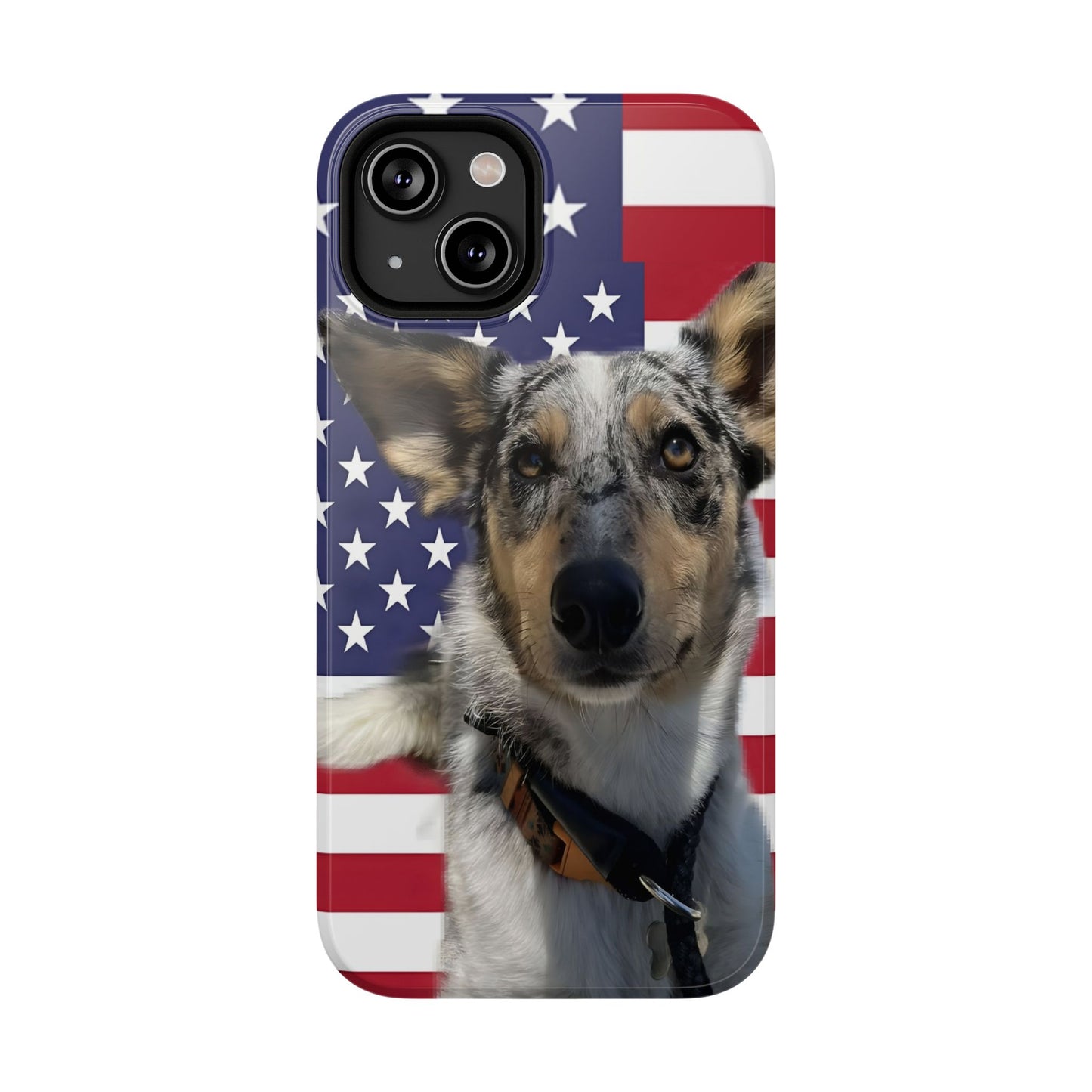 Bandit In America Impact-Resistant Cases