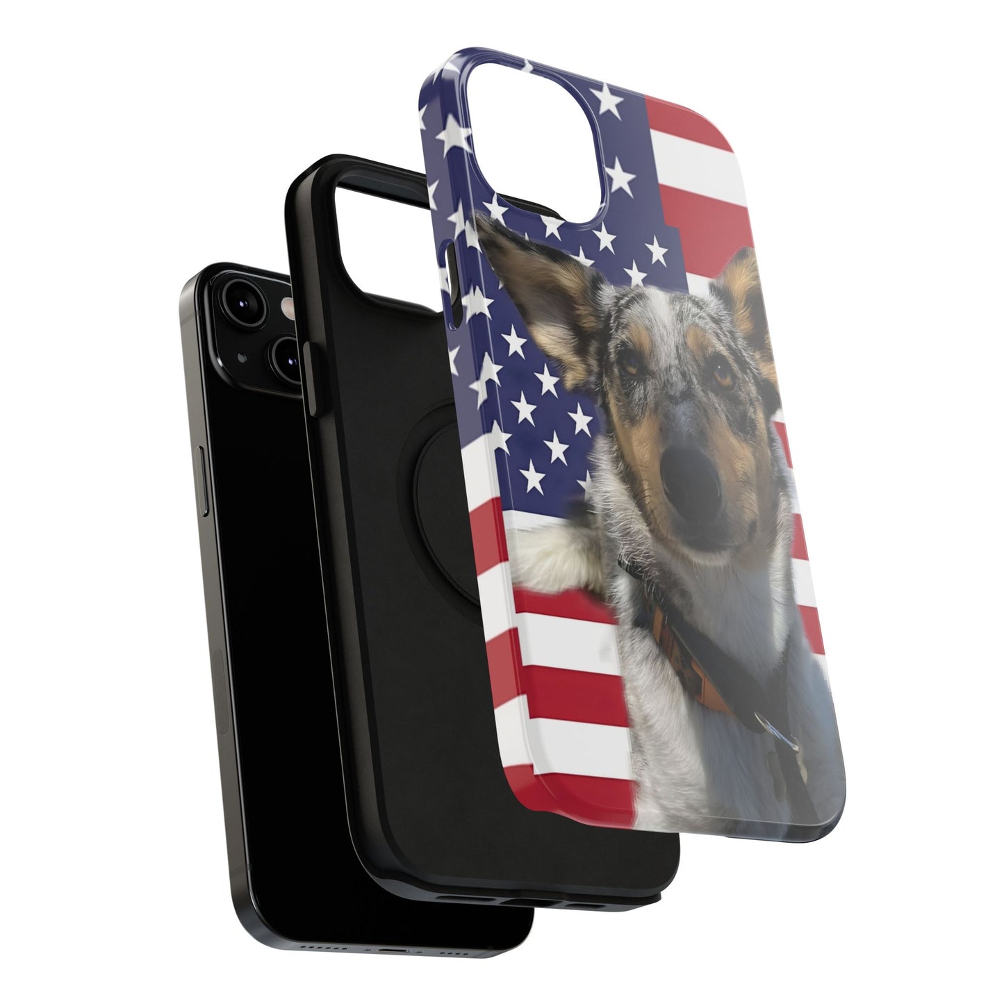 Bandit In America Impact-Resistant Cases