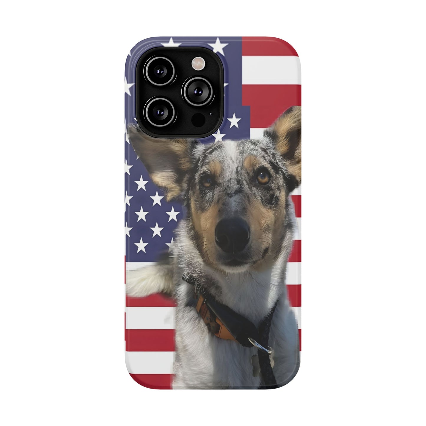 Bandit In America Impact-Resistant Cases