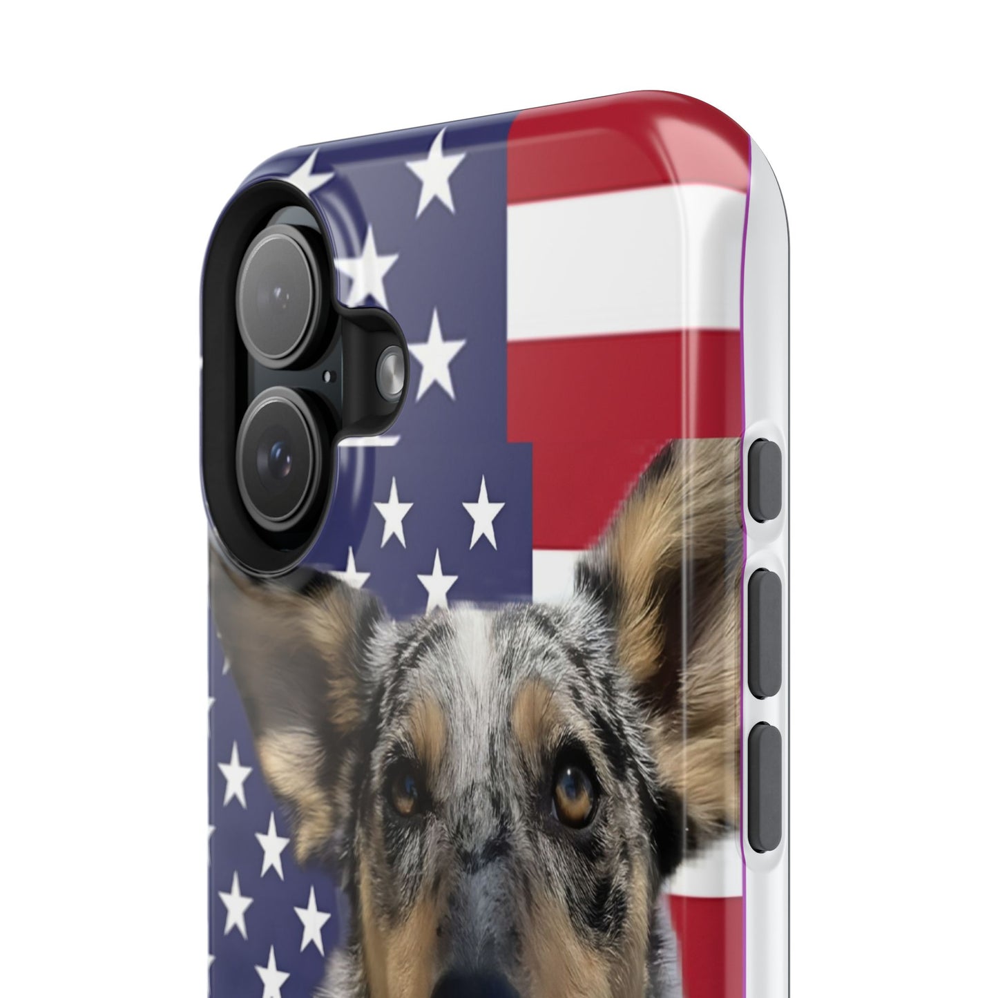 Bandit In America Impact-Resistant Cases