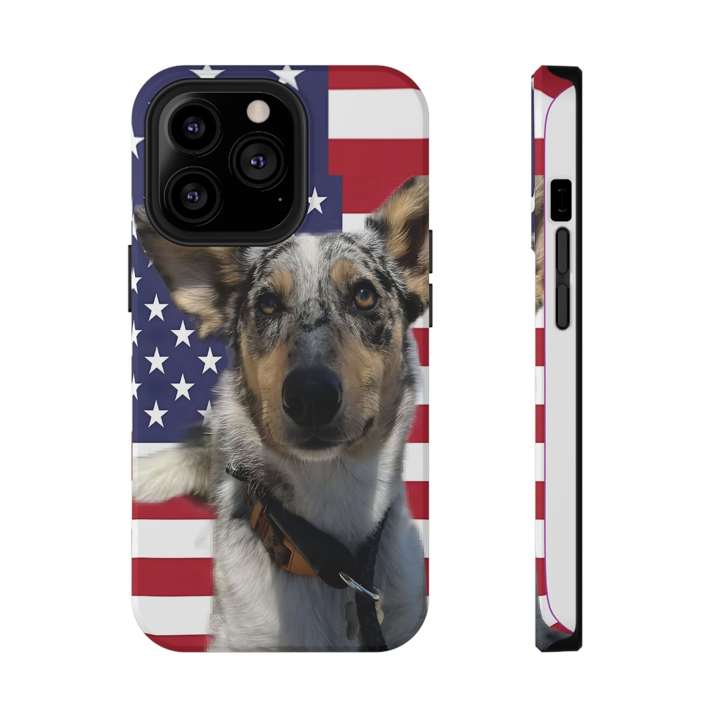 Bandit In America Impact-Resistant Cases