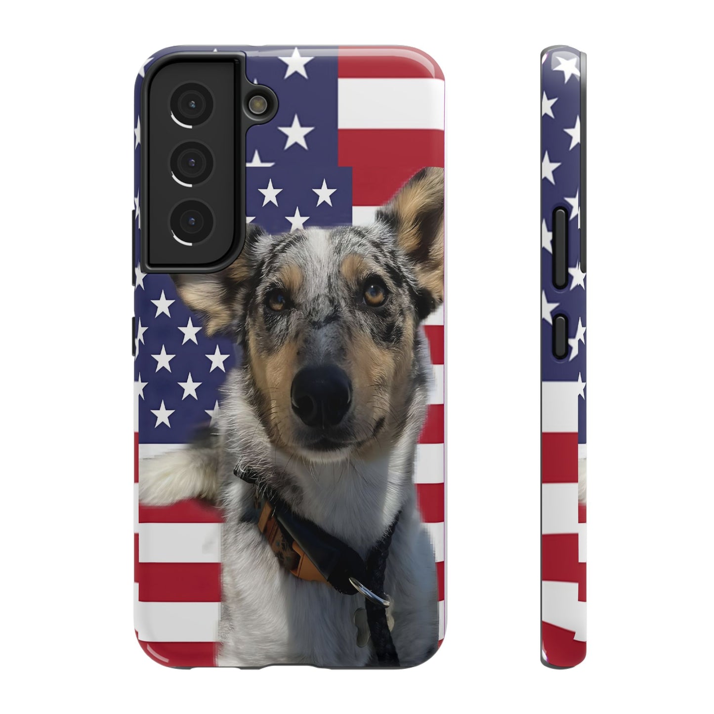 Bandit In America Impact-Resistant Cases