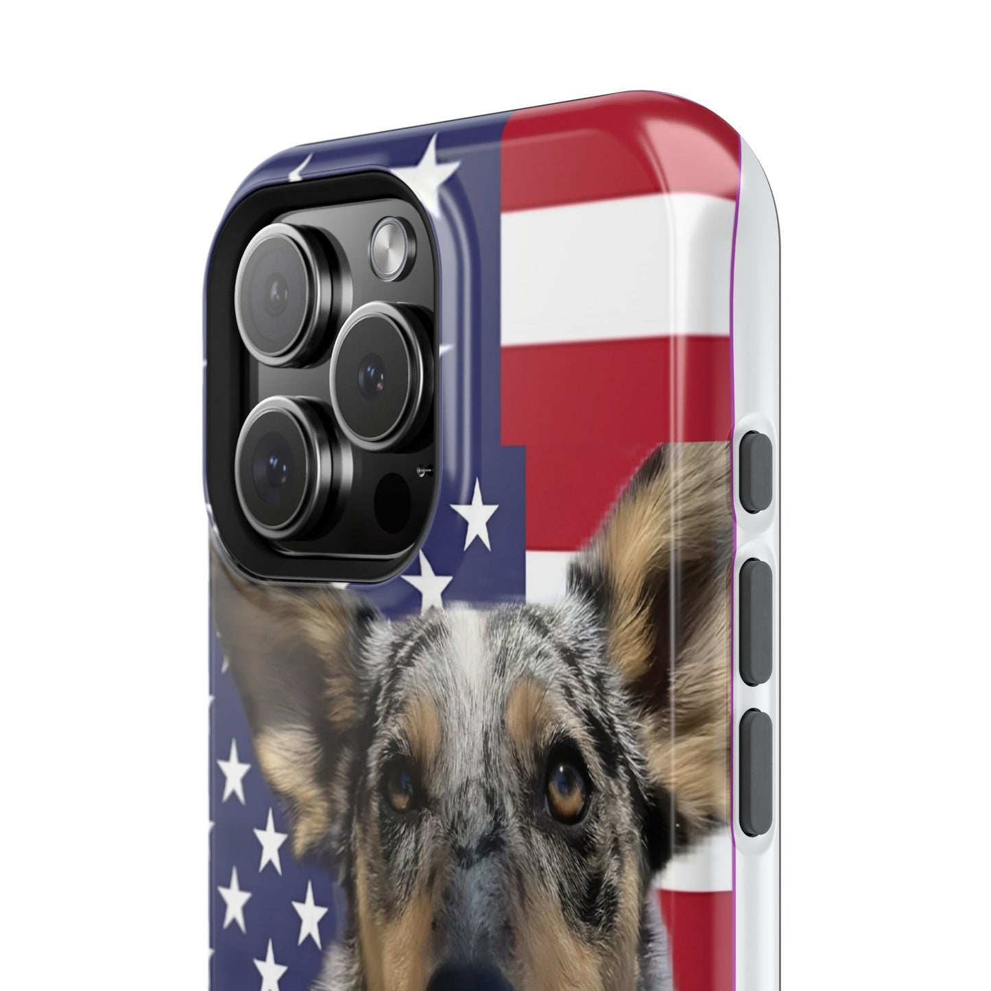 Bandit In America Impact-Resistant Cases