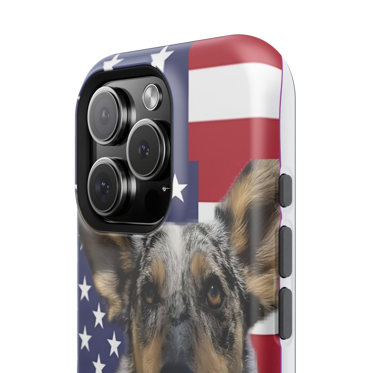 Bandit In America Impact-Resistant Cases