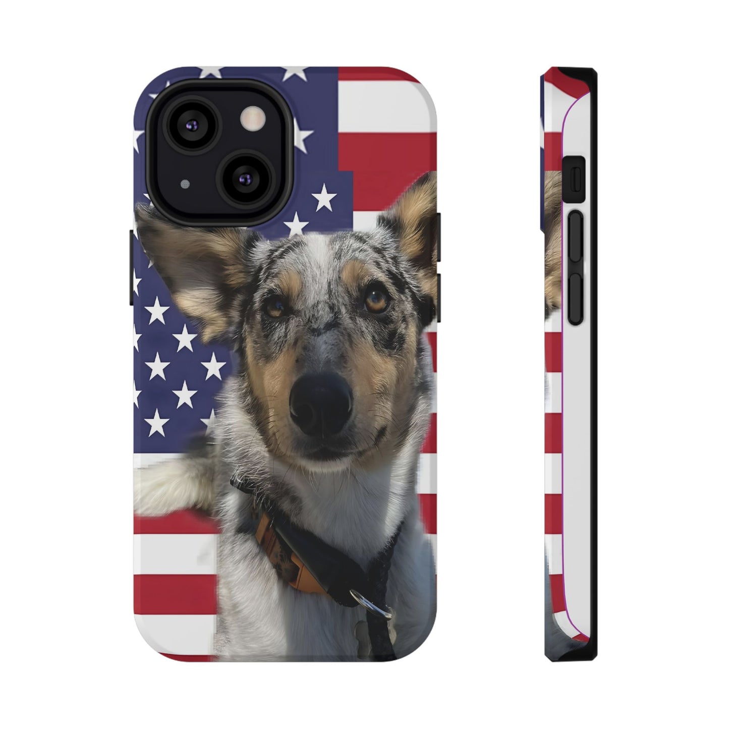 Bandit In America Impact-Resistant Cases