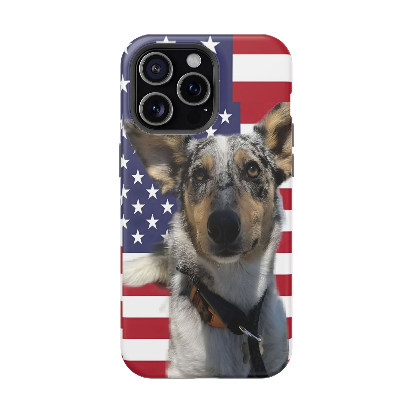 Bandit In America Impact-Resistant Cases