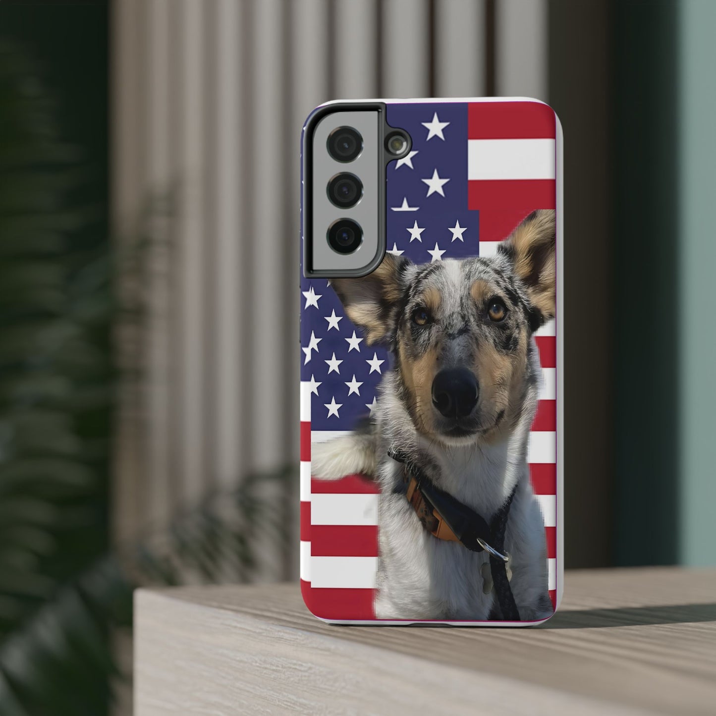 Bandit In America Impact-Resistant Cases