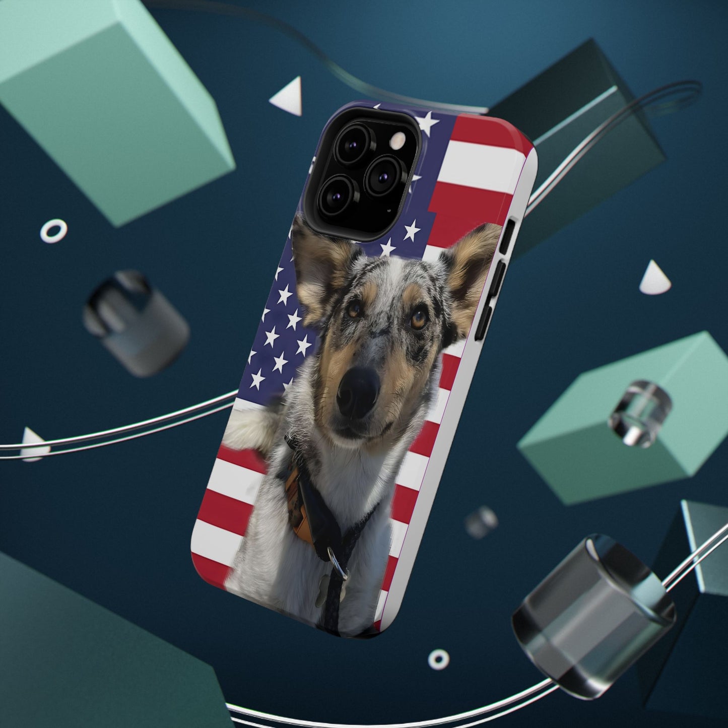 Bandit In America Impact-Resistant Cases