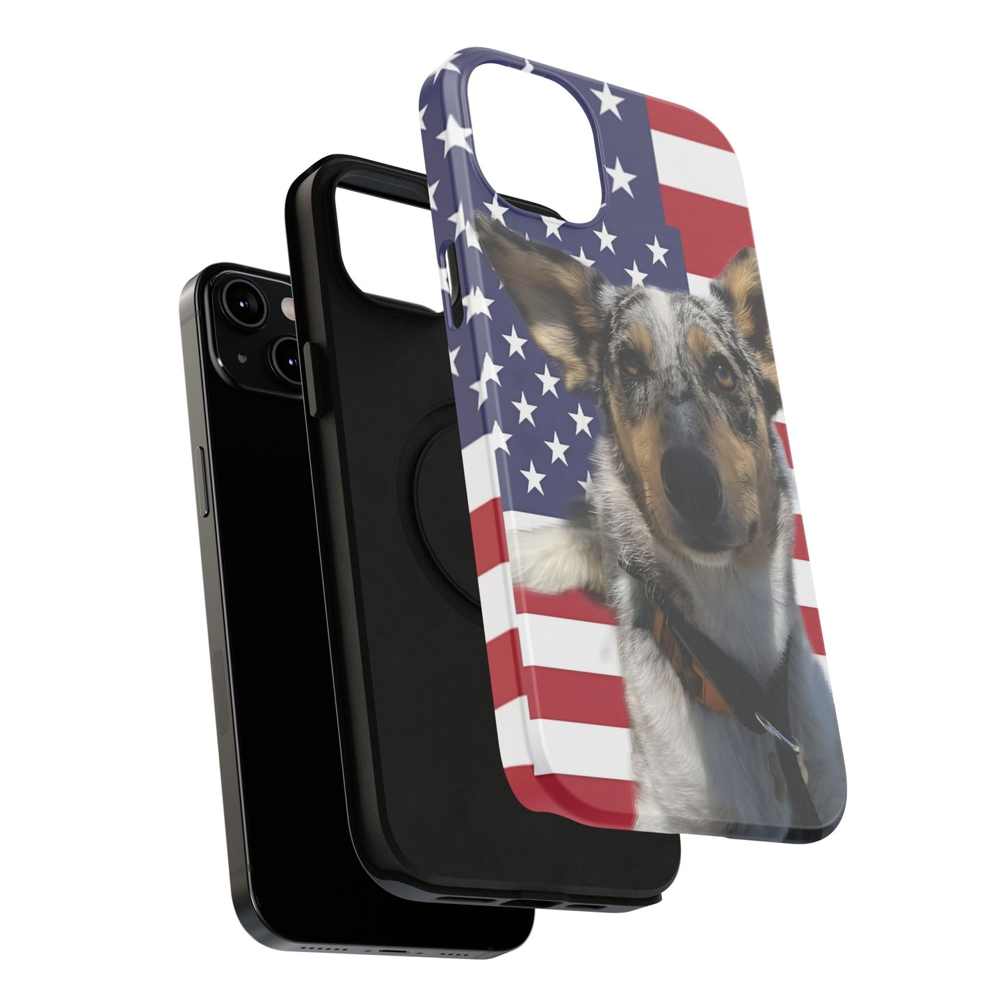 Bandit In America Impact-Resistant Cases