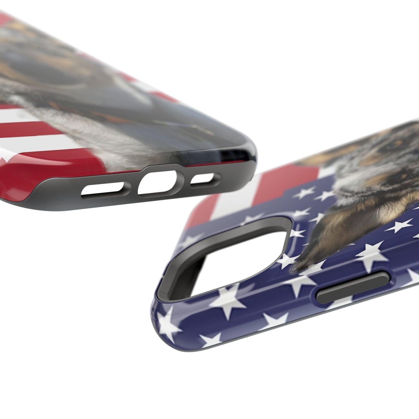 Bandit In America Impact-Resistant Cases