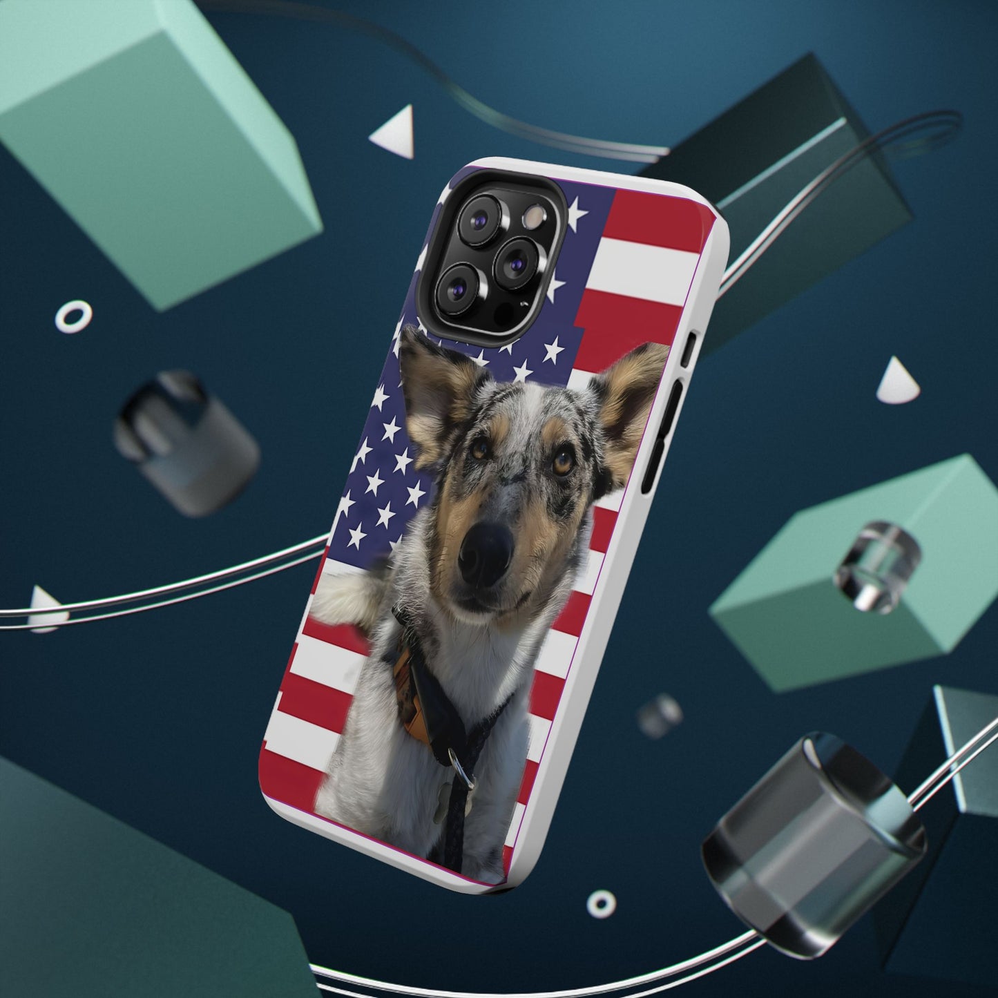 Bandit In America Impact-Resistant Cases