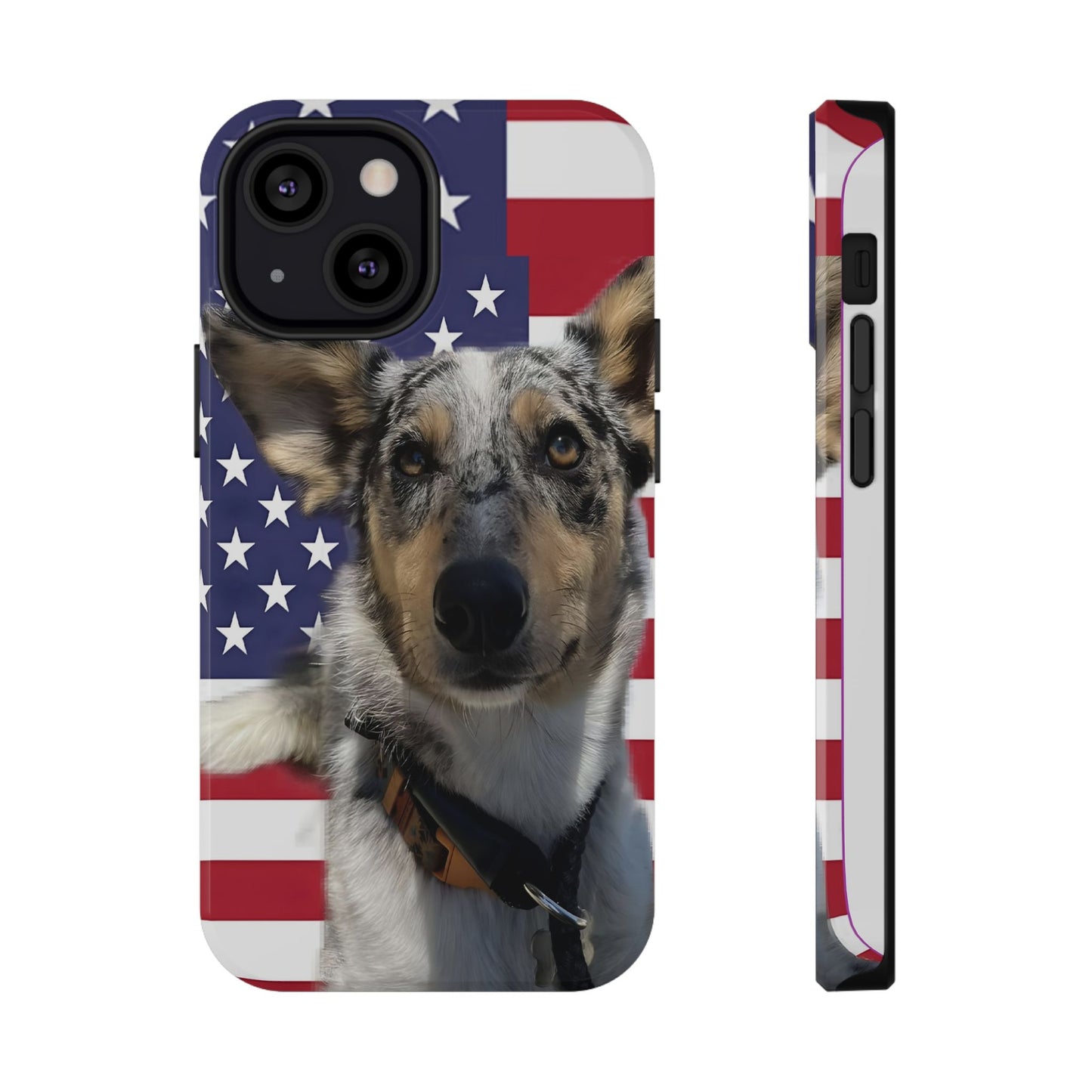 Bandit In America Impact-Resistant Cases