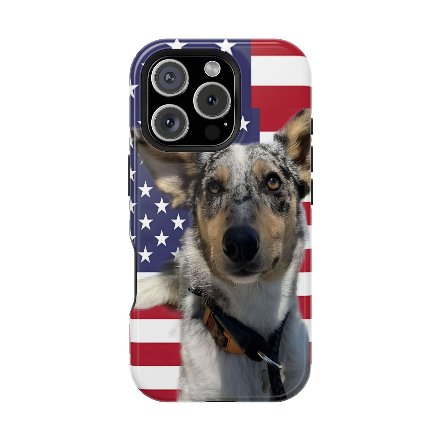 Bandit In America Impact-Resistant Cases