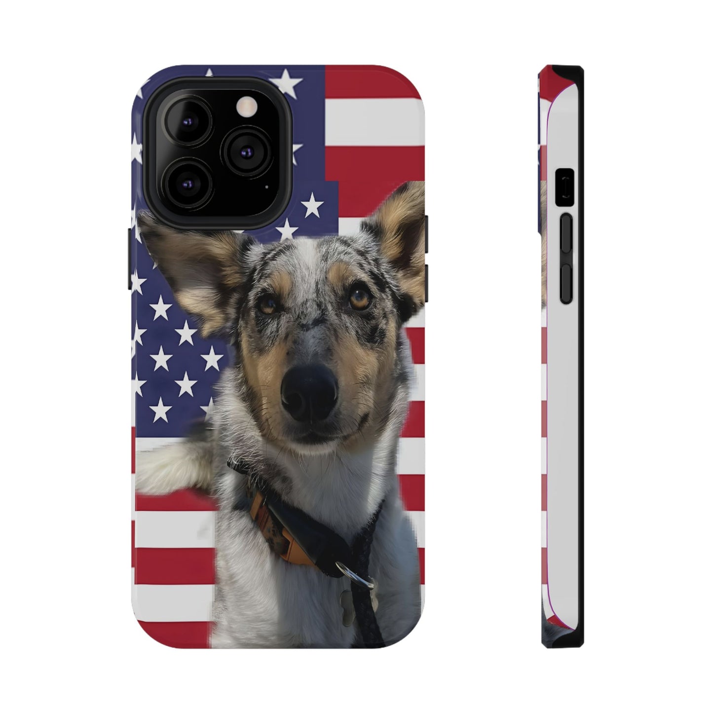 Bandit In America Impact-Resistant Cases