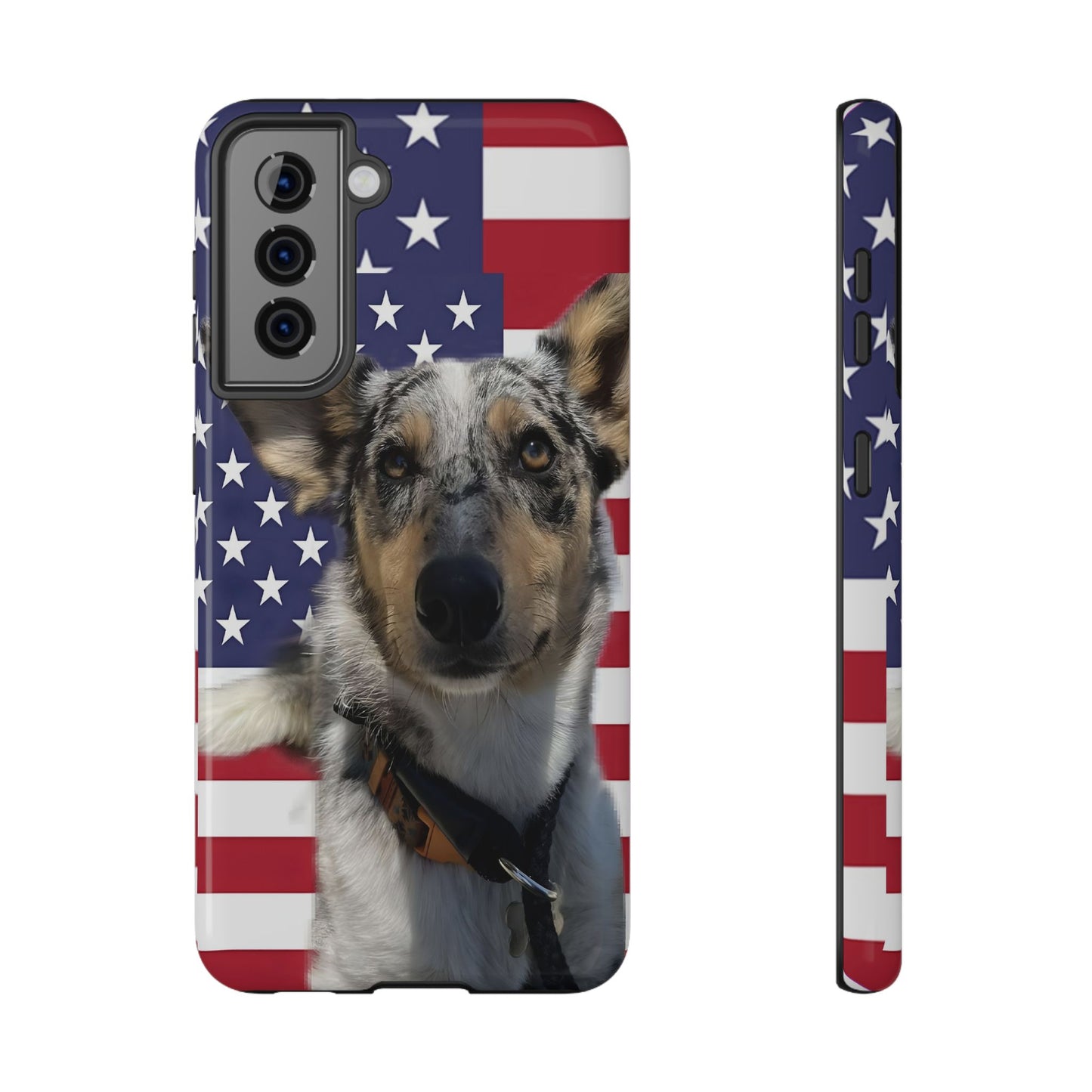 Bandit In America Impact-Resistant Cases