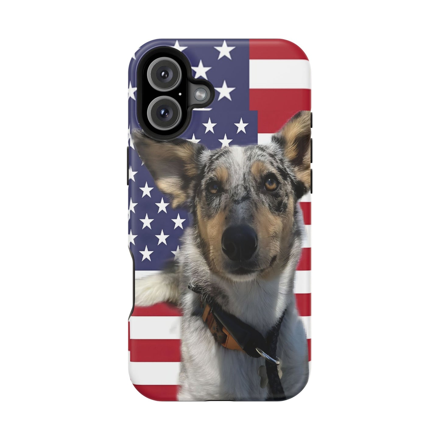 Bandit In America Impact-Resistant Cases