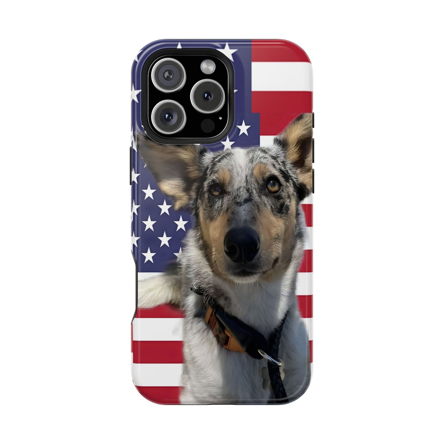 Bandit In America Impact-Resistant Cases