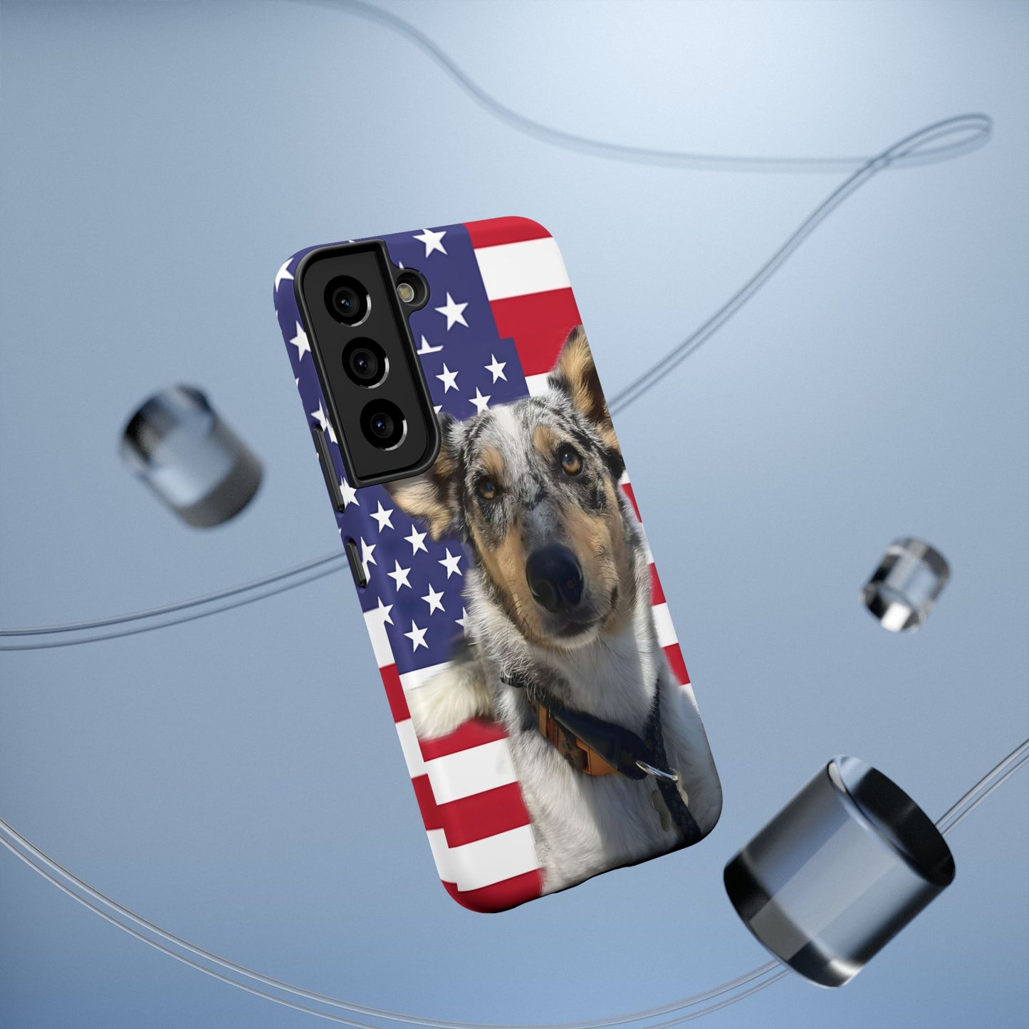 Bandit In America Impact-Resistant Cases