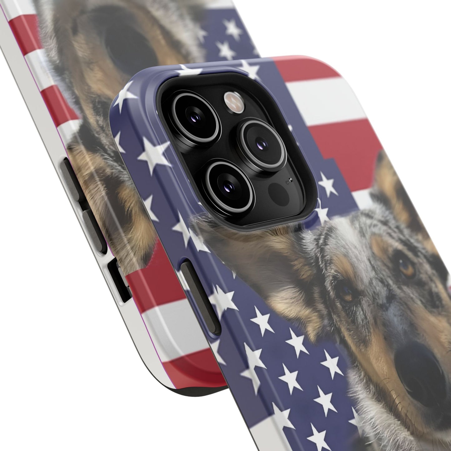 Bandit In America Impact-Resistant Cases