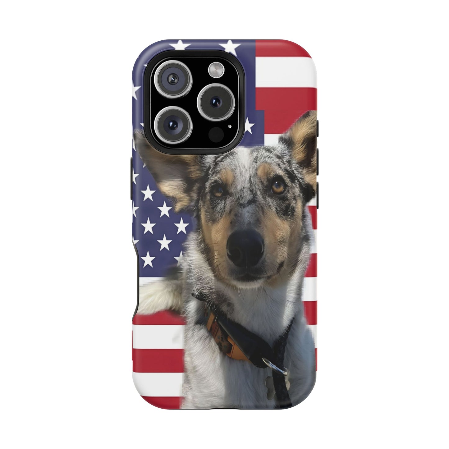 Bandit In America Impact-Resistant Cases