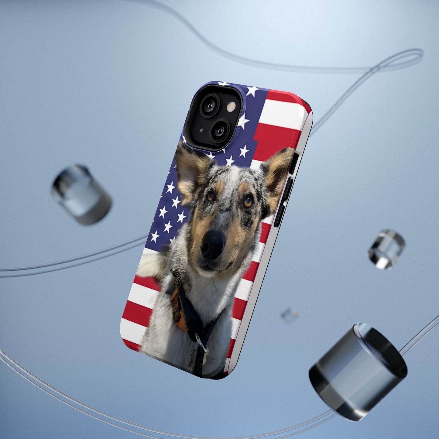 Bandit In America Impact-Resistant Cases